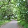 Phil Hardberger Park