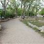 Rio Vista Park