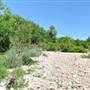 McKinney Falls State Park