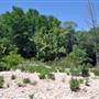 McKinney Falls State Park
