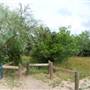 McAllister Park