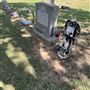 Mount Olive Historic Cemetery