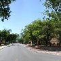 Texas Tech University