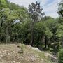 Riva Ridge