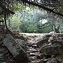 Hamilton Greenbelt Park