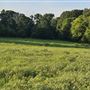 JMW Farm