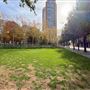 Victory Park