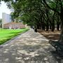 Gerald Hines Waterwall Park