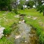 Cross Timbers Park