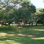 The Oaks of Anahuac