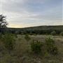 Rockin' Diamond S Ranch