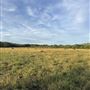 Rockin' Diamond S Ranch