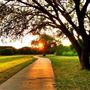 Duck Creek Greenbelt