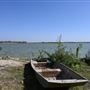 Vallecillo Ranch