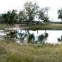 Enchanted Springs Ranch