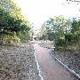 McKinney Roughs Nature Park