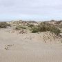 Boca Chica Beach & Dunes