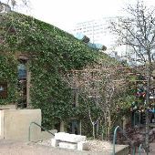 Cedar Street Courtyard