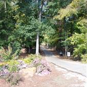 Gayla Mize Garden