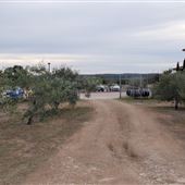 Texas Hill Country Olive Company