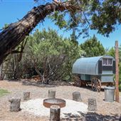 Rafter B Tiny Homes