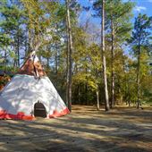 Rob Fleming Park - Tipi Tents