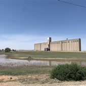Plainview Grain Elevators