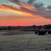 Windy Ridge Ranch