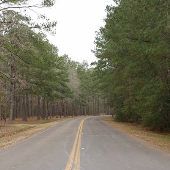 Lake Livingston State Park
