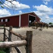Running-R Ranch