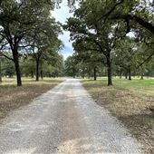 Fairlea Longhorn Ranch