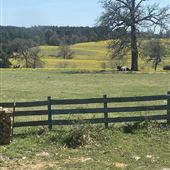 Bishop Property