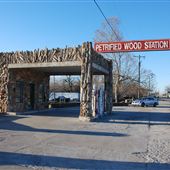 Petrified Wood Station