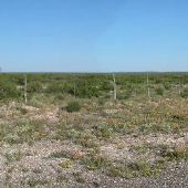 Terrain in Andrews County