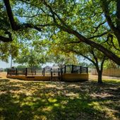 Freedom Tree Park