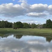 HorseLink Farm
