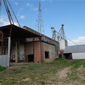 Milam Grain