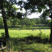 Enchanted Springs Ranch