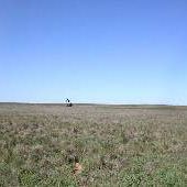 Oil Pump Jacks off Hwy 385