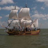 The City By The Sea Museum - La Petite Belle