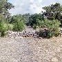 Storm Ranch