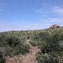 Big Bend National Park