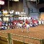 Stockyards Station - Cowtown Colliseum