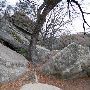 Bull Creek District Park