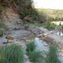 Dinosaur Valley State Park