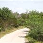 Turkey Bend Recreation Area