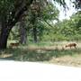Gloster Bend Recreation Area
