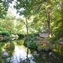 Fort Worth Botanic Garden - Japanese Garden