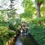 Fort Worth Botanic Garden - Japanese Garden