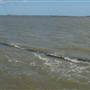 Palacios Seawall